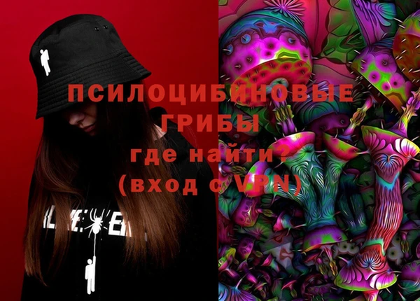 МДПВ Алексин