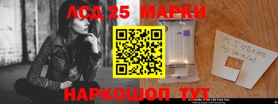 шишки Гагарин