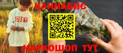 шишки Гагарин